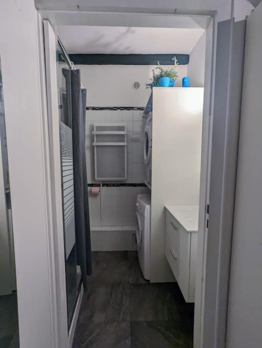 Citycosy-Strasbourg : Romantic Bateliers Ngoại thất bức ảnh
