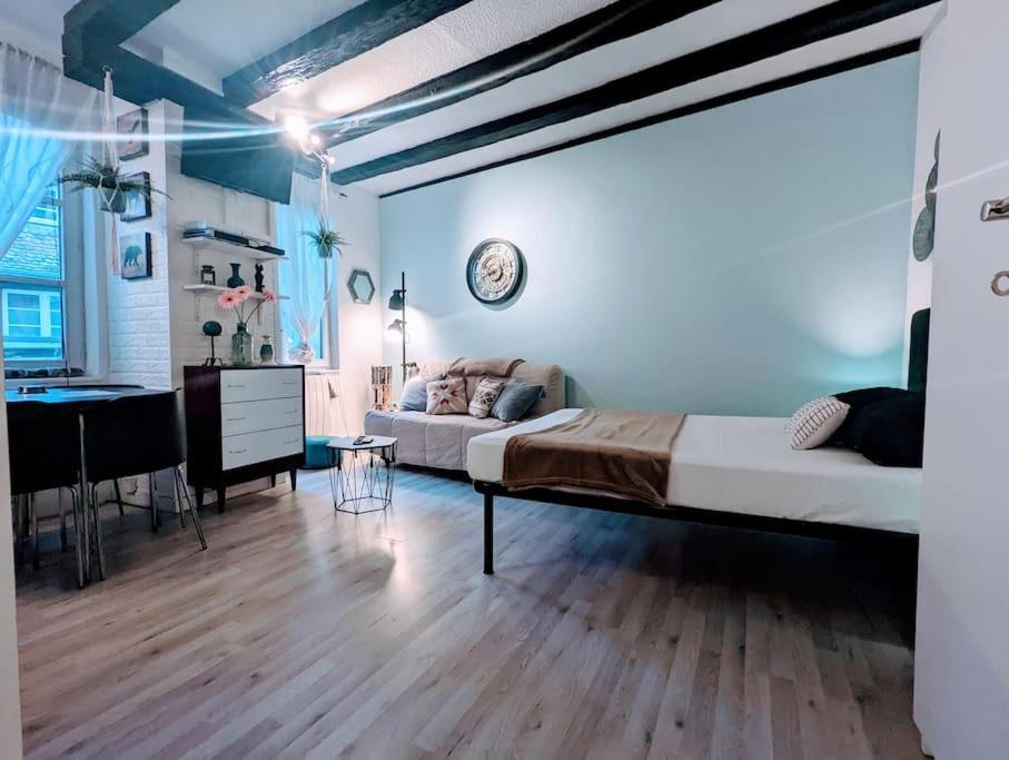Citycosy-Strasbourg : Romantic Bateliers Ngoại thất bức ảnh