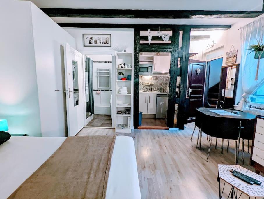Citycosy-Strasbourg : Romantic Bateliers Ngoại thất bức ảnh